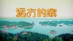 《远方的家》：这片子是真·远方，还是给币圈人看的心灵鸡汤？
