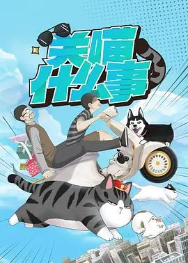 《关喵什么事》：治愈系猫咪电影，用爱与陪伴融化你的心，附赠独家观影体验